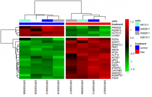 RNASeq workflow