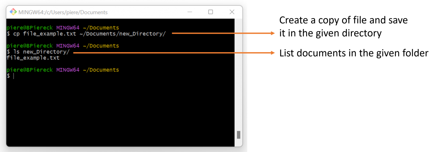 Moving and Copying content in Linux – E-Learning@VIB